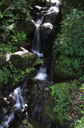 IMG_8328b.JPG