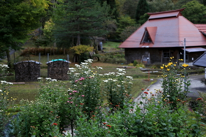 IMG_8913c.JPG